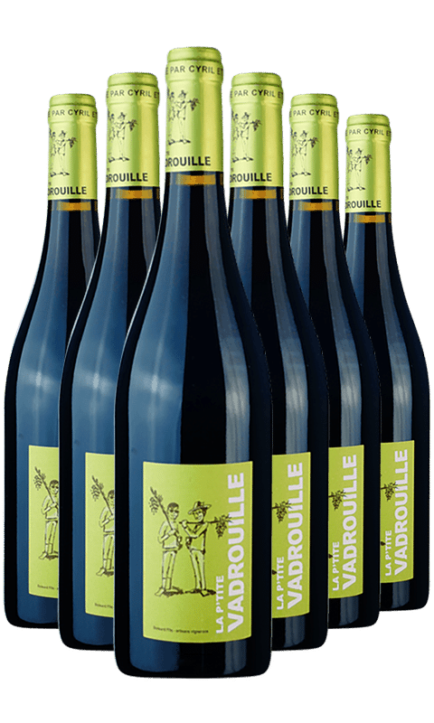 שישיית וינובלה בויזארד  לה פטי ורדולו